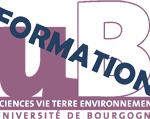 logo svte formation small