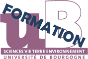 logo svte formation small