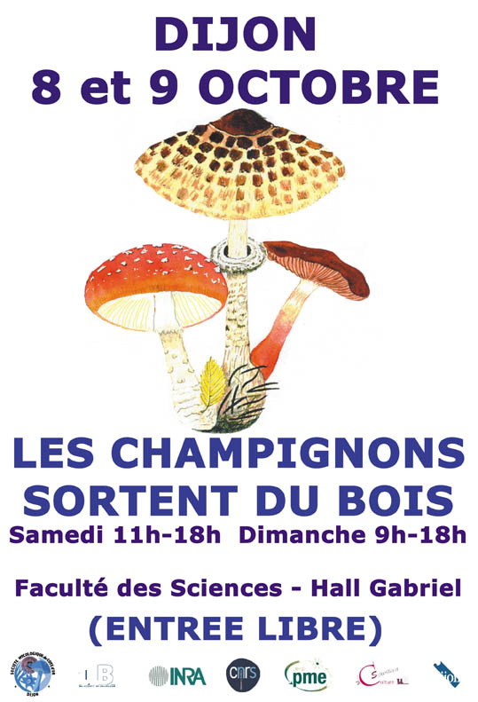 affiche-champi-2011