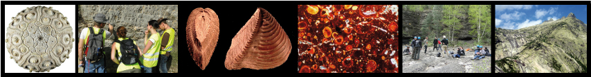 panom1geobio