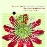 carteexpoimagesservicescienceicone