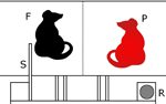 rat2012