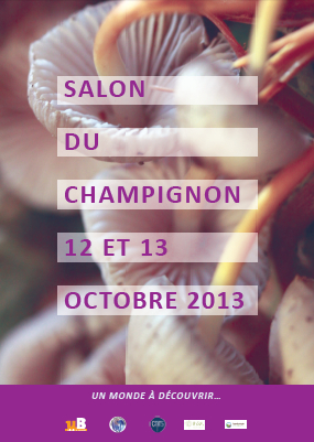 salonchampignon2013