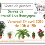 Ventes 04 15