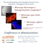 AfficheDimacell 2016 V6