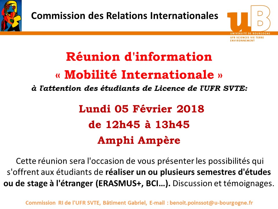 AfficheReunionInfoRIFevrier2018