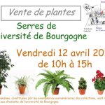 VentesPlantesSerres 04 2019