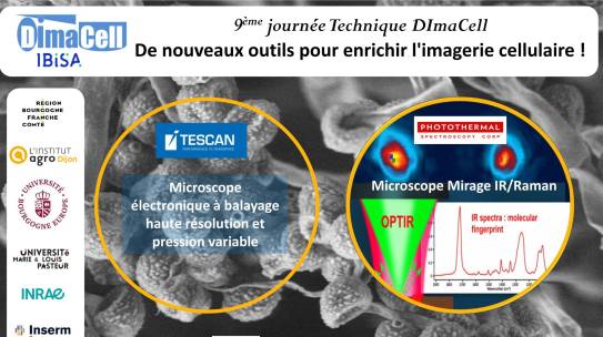 9ème journée Technique DImaCell