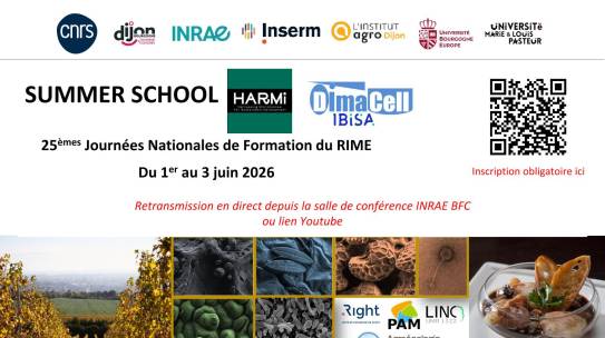 Summer School