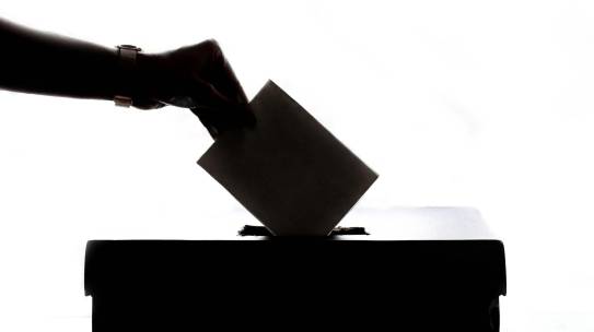 Élections des conseils de composantes 2025