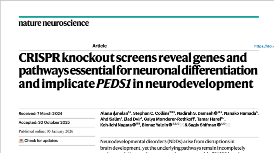 Stephan Collins et Binnaz Yalcin du Centre de Recherche UMR1231 publient un article scientifique dans la prestigieuse revue Nature Neurosciences