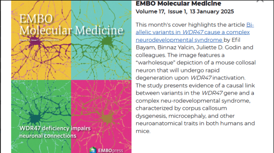 Les membres de l’équipe de Binnaz Yalcin font la couverture de EMBO Molecular Medicine ce mois-ci! Cela coïncide avec leur début d’installation sur Gabriel.