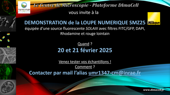 Démonstration de la Loupe Numérique 2025